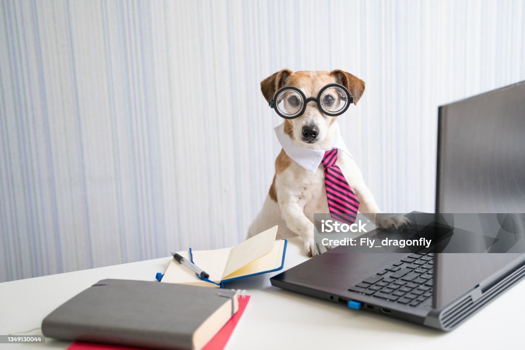 Lord Barkington III